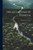 Della Laguna Di Venezia (Italian Edition)