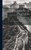 Drugging A Nation: The Story Of China And The Opium Curse; A Personal Investigation