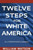 Twelve Steps For White America: For A United States Of America