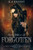 The Forgotten (Their Champion Companion Novel)
