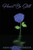 Heart Be Still
