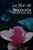 La flor de Magnolia (Spanish Edition)
