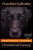 Chocolate Labrador Training Book for Labrador Retriever Dogs and puppies By D!G THIS DOG Training: From the Car Ride Home Training Begins Chocolate Lab Training