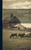 Poultry; A Practical Guide To The Choice, Breeding, Rearing And Management Of All Descriptions Of Fowls, Turkeys, Guinea-Fowls, Ducks, And Geese, For Profit And Exhibition