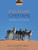 Kalahari Cheetahs: Adaptations To An Arid Region