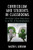 Curriculum and Students in Classrooms: Everyday Urban Education in an Era of Standardization (Race and Education in the Twenty-First Century)