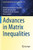 Advances In Matrix Inequalities (Springer Optimization And Its Applications)