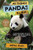 All Things Pandas For Kids: Filled With Plenty Of Facts, Photos, And Fun To Learn All About Pandas