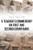 A Teacher'S Commentary On First And Second Corinthians (Paperback)