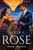 Golden Rose Golden Rose