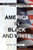 America in Black and White : And Why Democracy Has Failed
