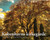 Københavns kirkegårde