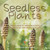 Seedless Plants Explained Importance of Seedless Plants Nonvascular and Vascular Plants Grade 6-8 Life Science