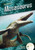 Mosasaurus