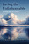Facing the Unfathomable : Surviving Your Son's Suicide