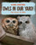 Owls in Our Yard! : The Story of Alfie