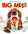 Neat Nick's Big Mess