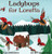 Ladybugs For Loretta (Loretta'S Insects) (Hardcover)