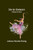 Six to Sixteen : A Story for Girls