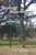 Cuentos Del Parque Avellaneda