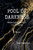 Pool of Darkness - Raymond Chandler in Ireland