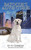 Bayocor's Adventures, The Big City