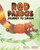 Red Pandas Journey to Sikkim
