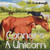 Connor's A Unicorn