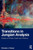 Transitions in Jungian Analysis : Essays on Illness, Death and Violence