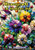 Blumenpracht Im Glaskunst-Stil : Ein Ausmalbuch