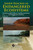 Sandy Beaches as Endangered Ecosystems : Environmental Problems, Possible Assessment and Management Solutions