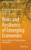 Risks and Resilience of Emerging Economies : Essays in Honour of Professor Ajitava Raychaudhuri