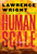 The Human Scale - (Hardback or Cased Book)