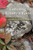 Listening to Nature's Voice: Reflections on the world around us