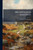 ArchÃ]ologia Adelensis - (Paperback or Softback)