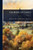 The Book of Ladies - (Paperback or Softback)