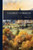 Guerre Et Commune - (Paperback or Softback)