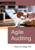 Agile Auditing