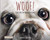 Woof! The Truth About Dogs