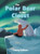 The Polar Bear in the Closet - (Hardback or Cased Book)