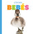 Cisnes Bebes