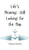 Life's Meaning: Still Looking for the Map - (Hardback or Cased Book)