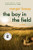 The Boy In The Field: A Novel