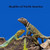 Reptiles of North America Kids Book: Great Children's Reptile Book about Snakes, Lizards, Turtles, Alligators