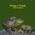 Frogs and Toads of North America Kids Book: Great Children's Book about the types of North American Frogs and Toads