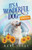 It's a Wonderful Dog - Summertime - (Paperback or Softback)
