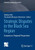 Strategic Disputes in the Black Sea Region: European vs. Regional Perspectives
