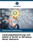 Leistungsbewertung von AODV & OLSR in Wireless Mesh Network