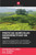 Práticas Agrícolas Regenerativas Na Índia