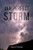 Our Perfect Storm - 9781098091637
